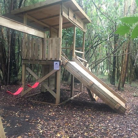 Cabanas Ensenada Bosque Nativo מראה חיצוני תמונה