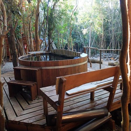 Cabanas Ensenada Bosque Nativo מראה חיצוני תמונה