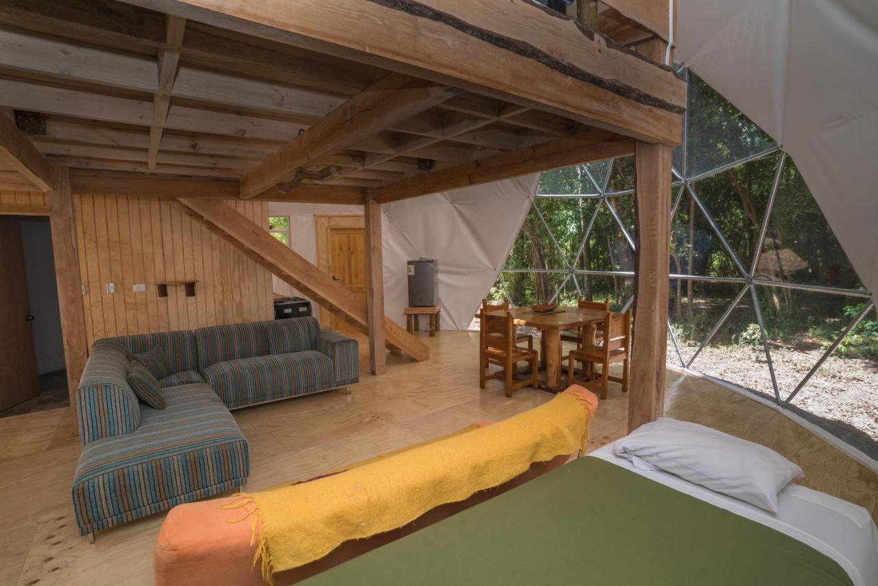Cabanas Ensenada Bosque Nativo מראה חיצוני תמונה