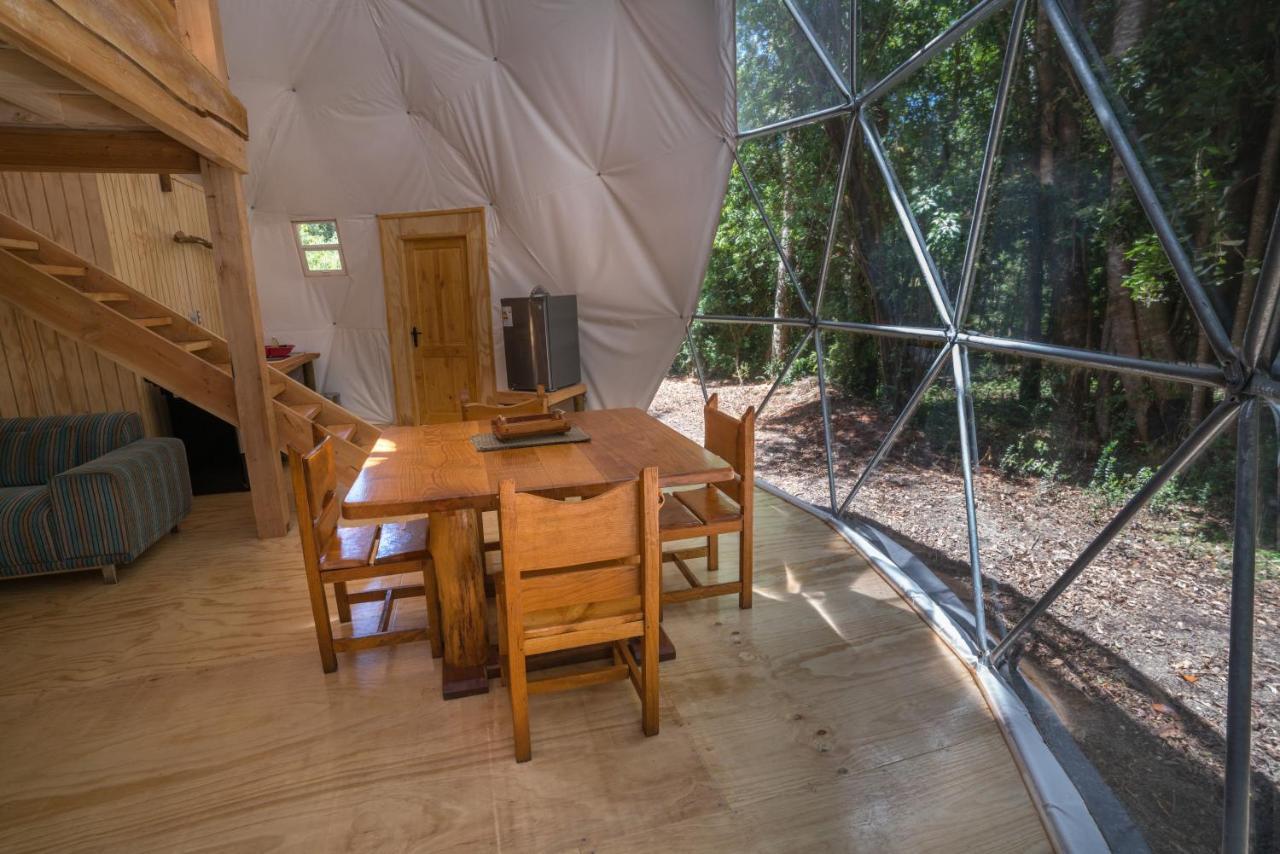 Cabanas Ensenada Bosque Nativo מראה חיצוני תמונה