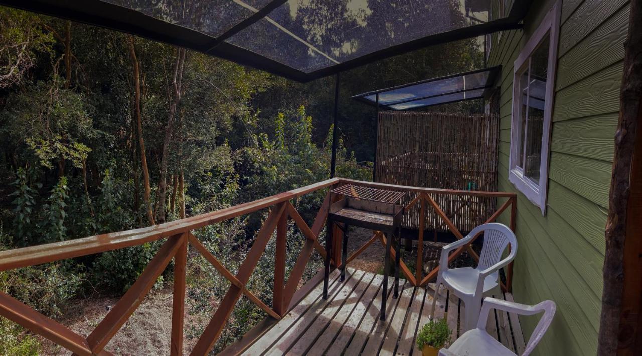 Cabanas Ensenada Bosque Nativo מראה חיצוני תמונה