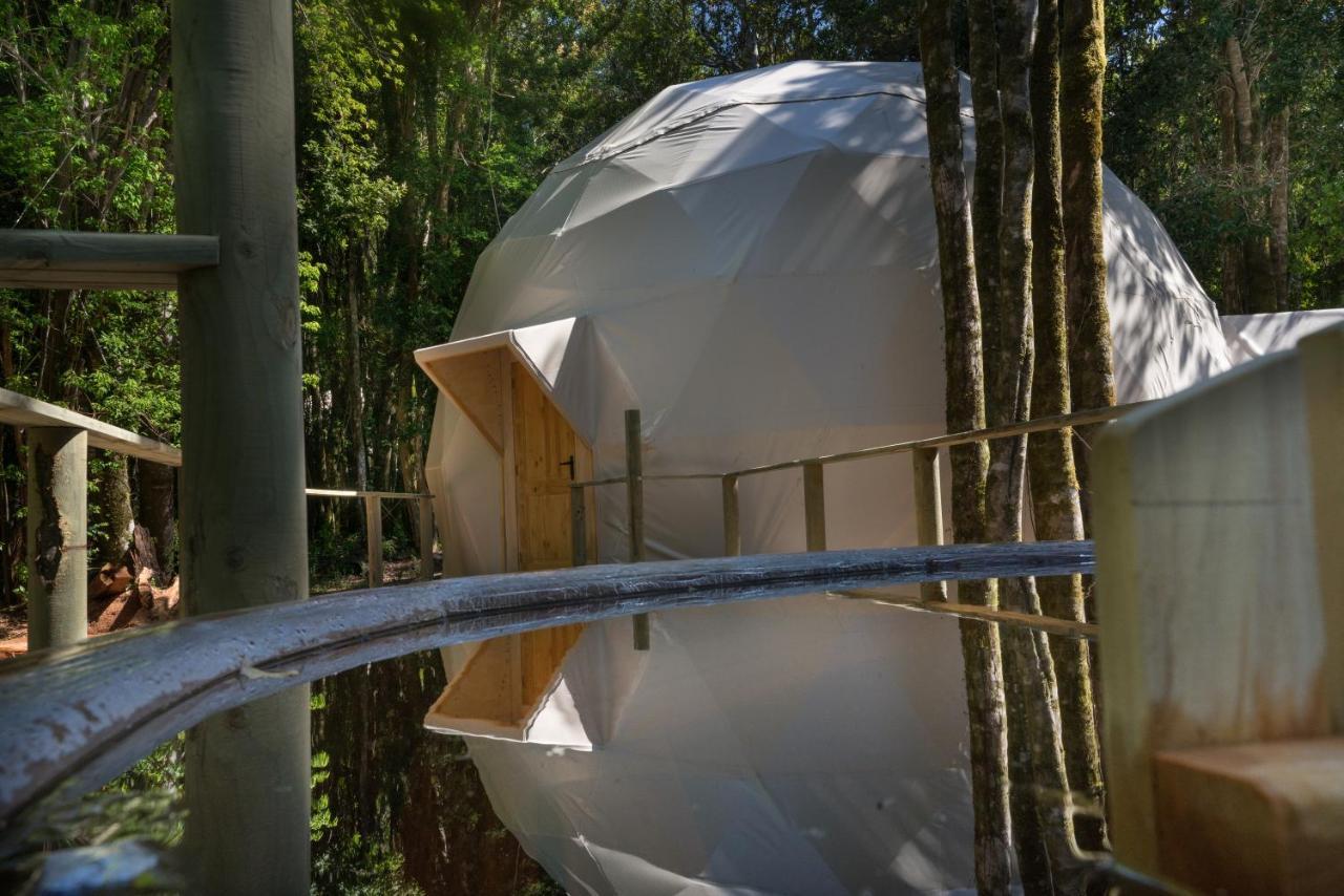 Cabanas Ensenada Bosque Nativo מראה חיצוני תמונה