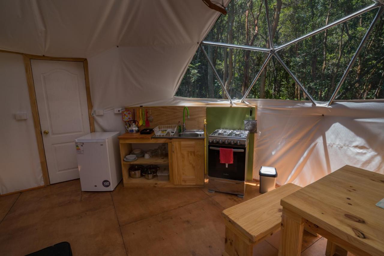 Cabanas Ensenada Bosque Nativo מראה חיצוני תמונה