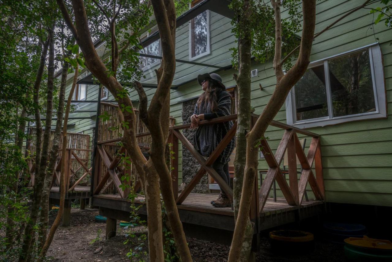 Cabanas Ensenada Bosque Nativo מראה חיצוני תמונה
