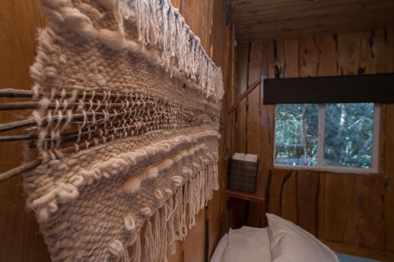 Cabanas Ensenada Bosque Nativo מראה חיצוני תמונה