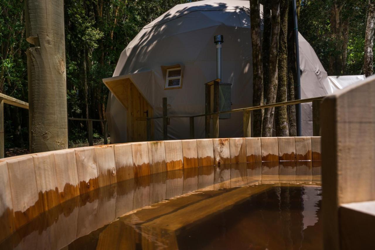 Cabanas Ensenada Bosque Nativo מראה חיצוני תמונה