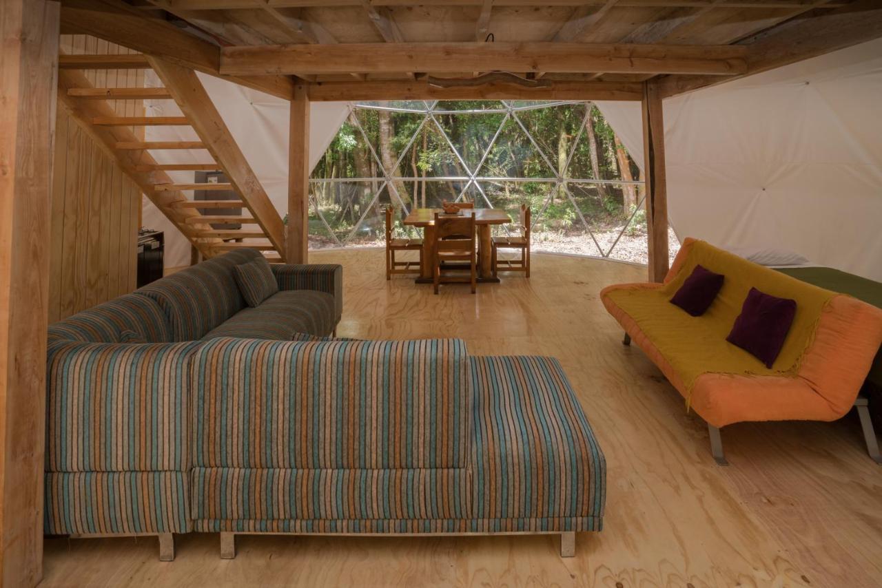 Cabanas Ensenada Bosque Nativo מראה חיצוני תמונה