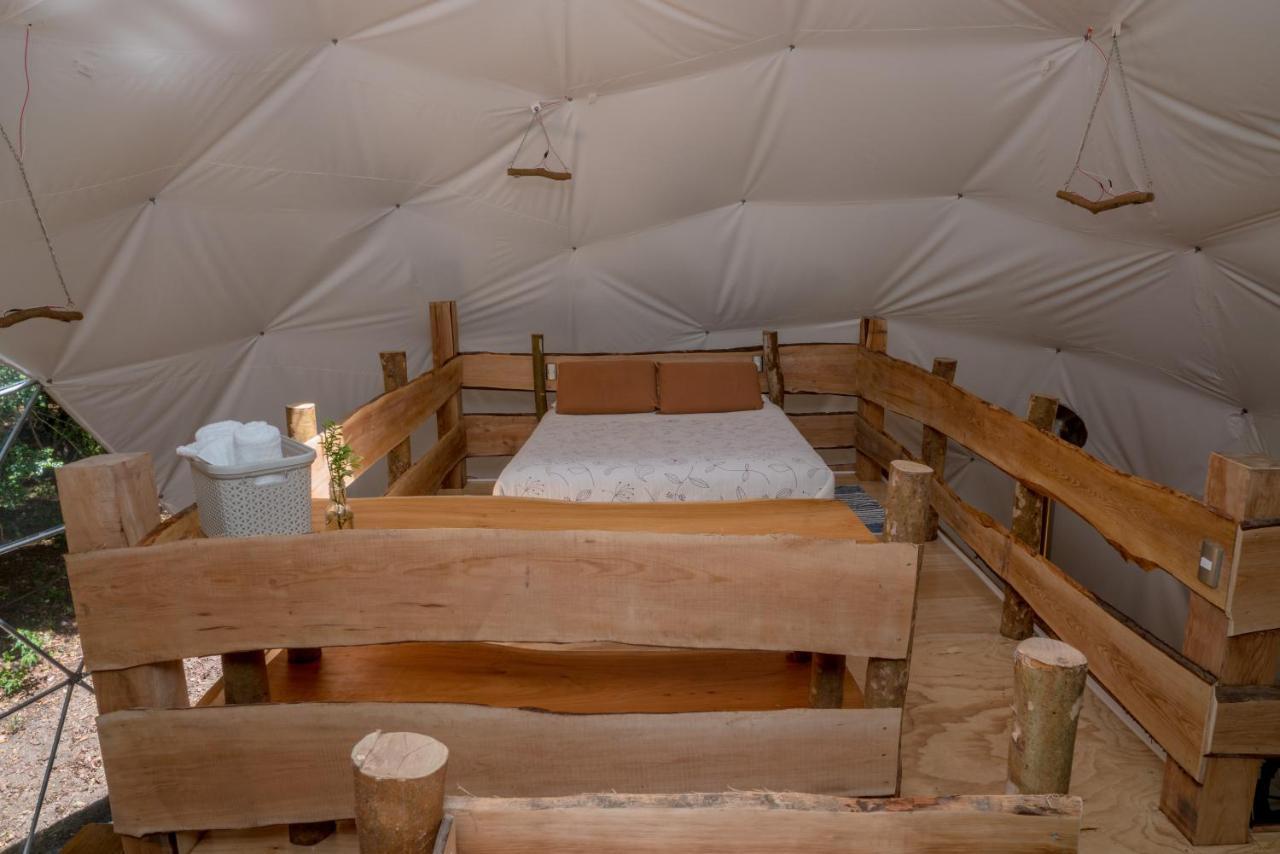 Cabanas Ensenada Bosque Nativo מראה חיצוני תמונה