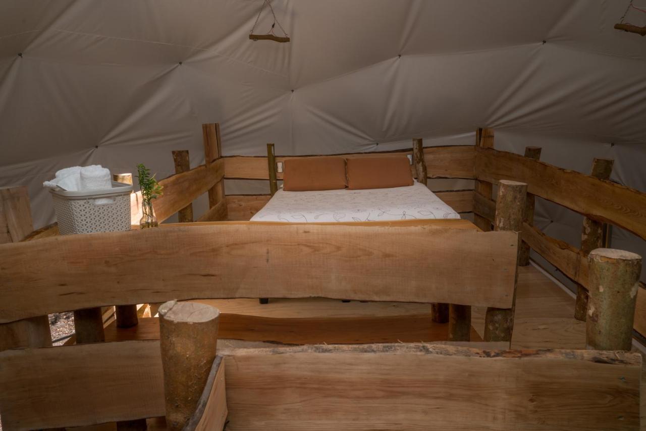 Cabanas Ensenada Bosque Nativo מראה חיצוני תמונה