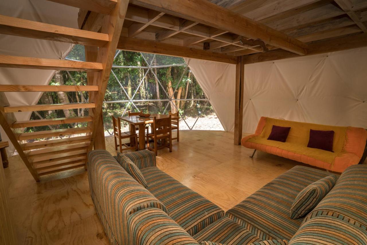 Cabanas Ensenada Bosque Nativo מראה חיצוני תמונה