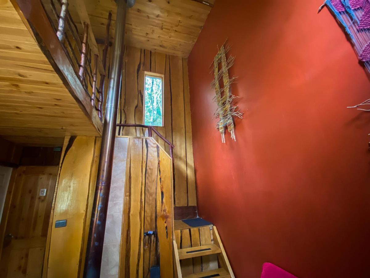 Cabanas Ensenada Bosque Nativo מראה חיצוני תמונה