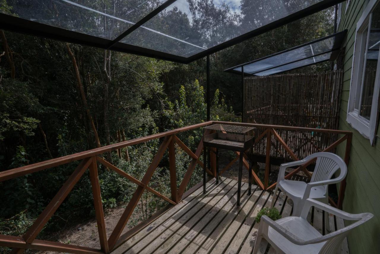 Cabanas Ensenada Bosque Nativo מראה חיצוני תמונה