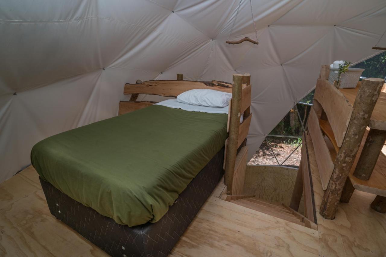 Cabanas Ensenada Bosque Nativo מראה חיצוני תמונה