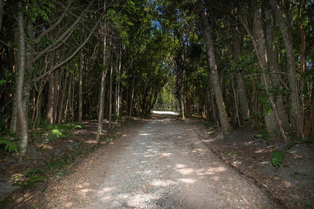 Cabanas Ensenada Bosque Nativo מראה חיצוני תמונה