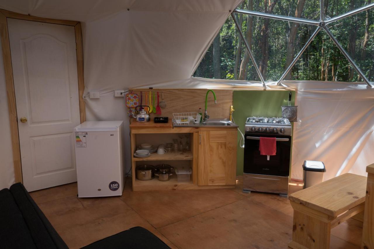 Cabanas Ensenada Bosque Nativo מראה חיצוני תמונה