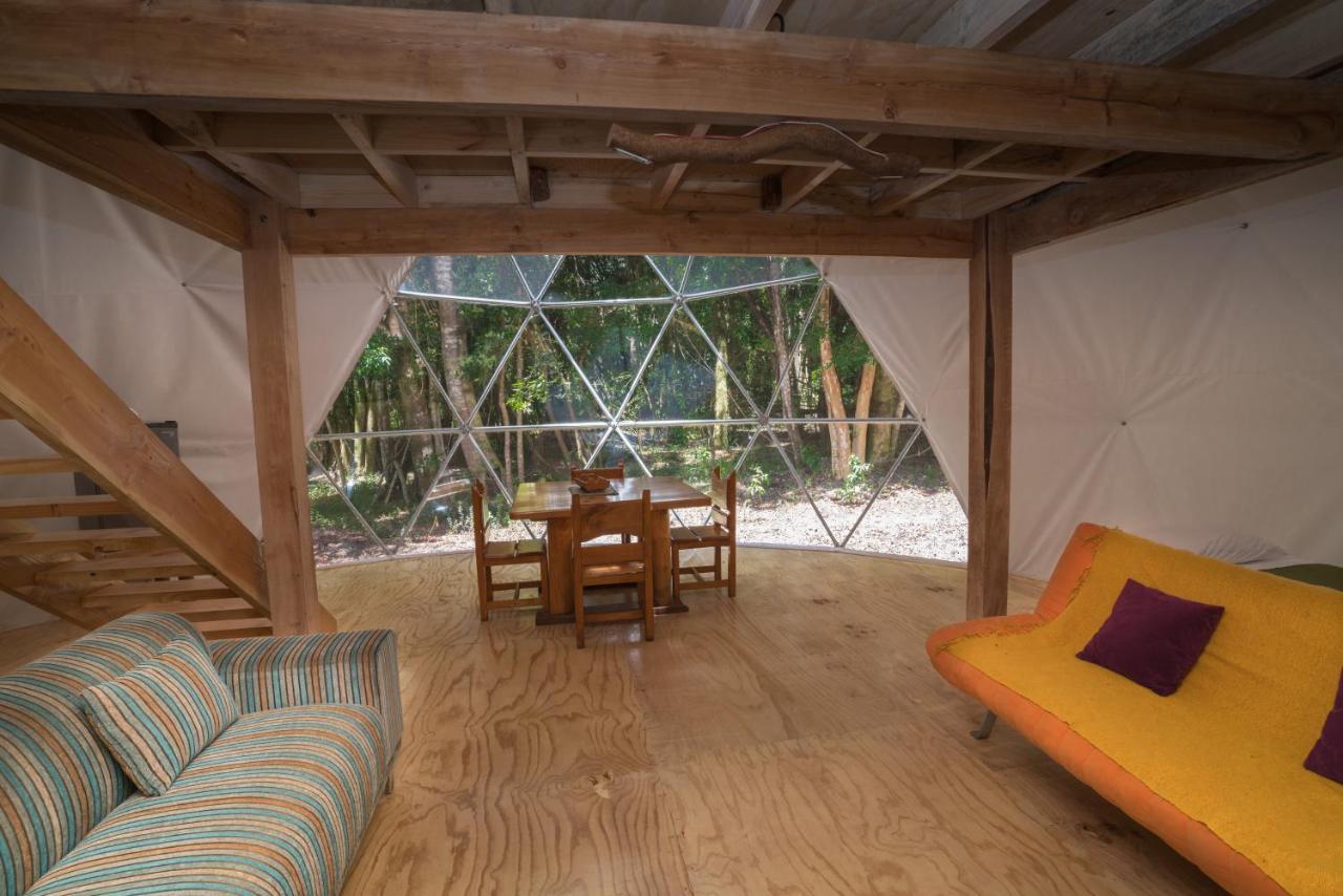 Cabanas Ensenada Bosque Nativo מראה חיצוני תמונה