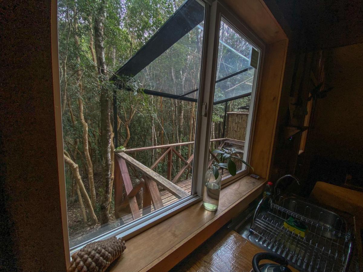 Cabanas Ensenada Bosque Nativo מראה חיצוני תמונה