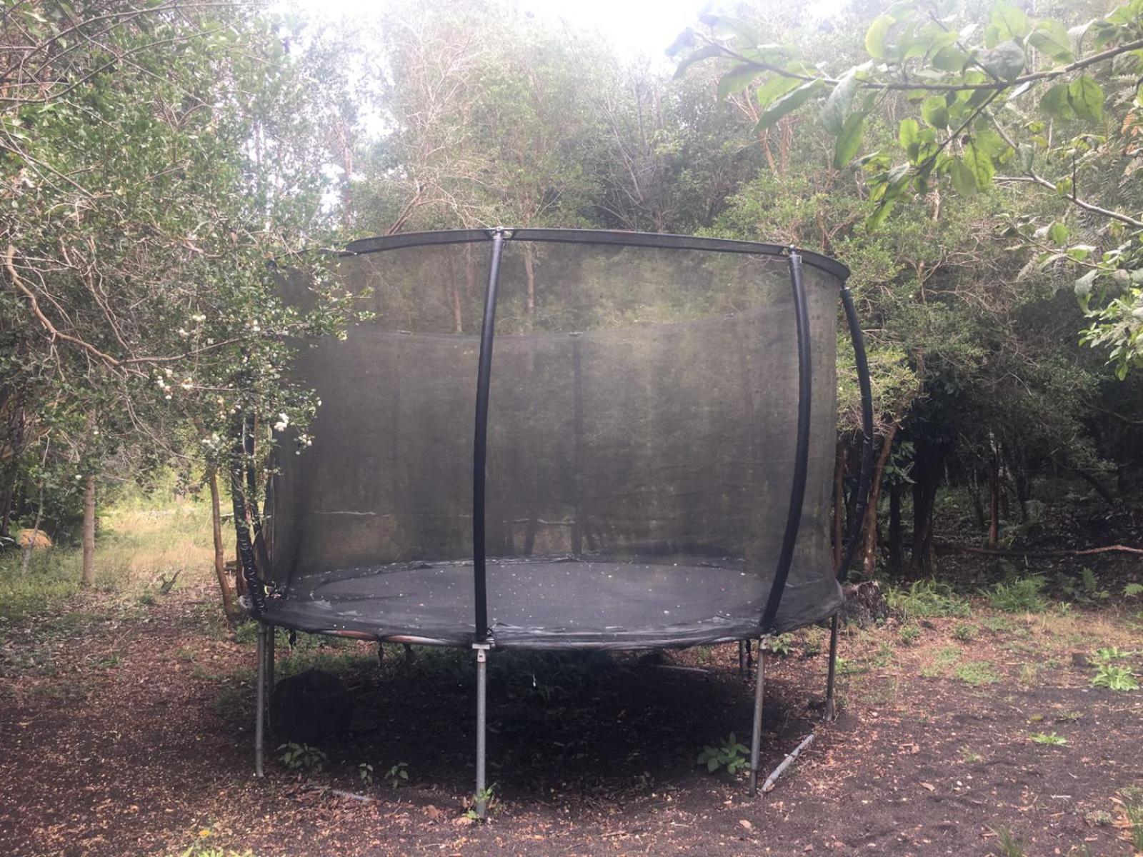 Cabanas Ensenada Bosque Nativo מראה חיצוני תמונה