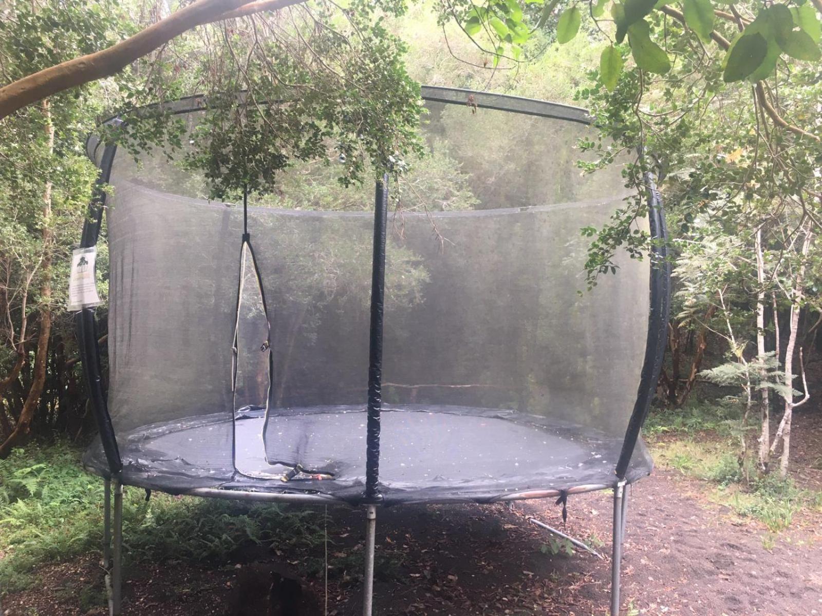 Cabanas Ensenada Bosque Nativo מראה חיצוני תמונה