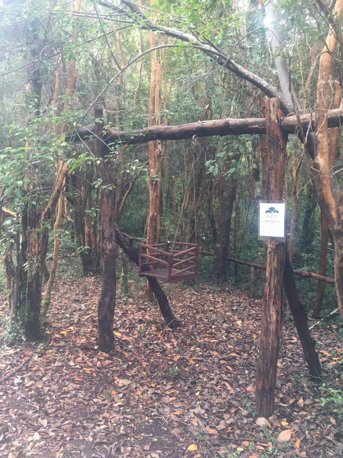 Cabanas Ensenada Bosque Nativo מראה חיצוני תמונה