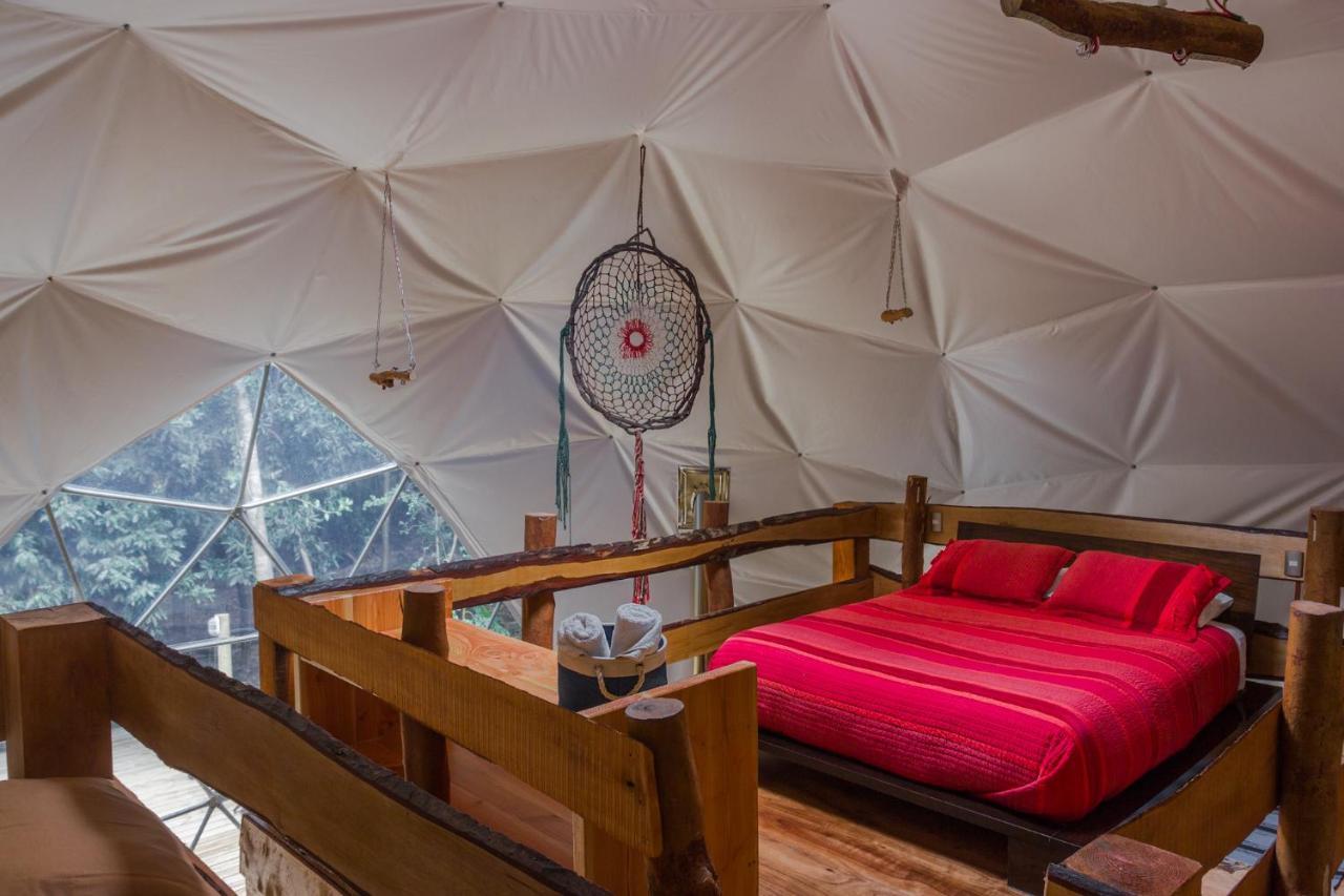 Cabanas Ensenada Bosque Nativo מראה חיצוני תמונה