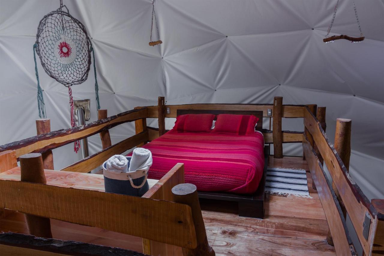 Cabanas Ensenada Bosque Nativo מראה חיצוני תמונה