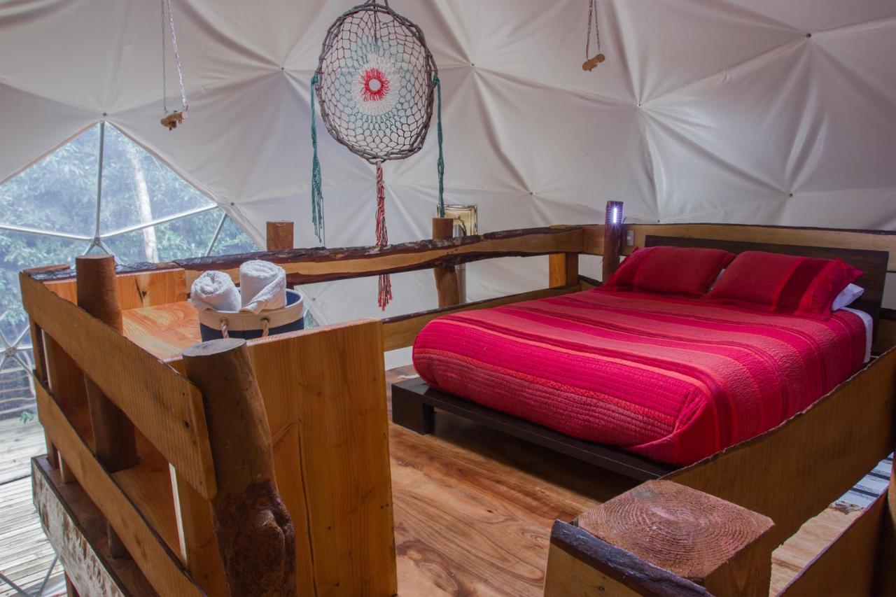 Cabanas Ensenada Bosque Nativo מראה חיצוני תמונה