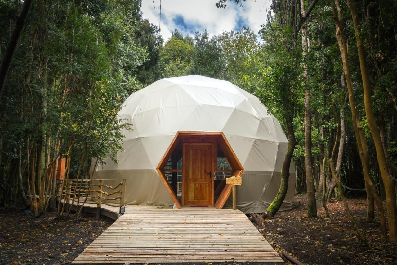 Cabanas Ensenada Bosque Nativo מראה חיצוני תמונה