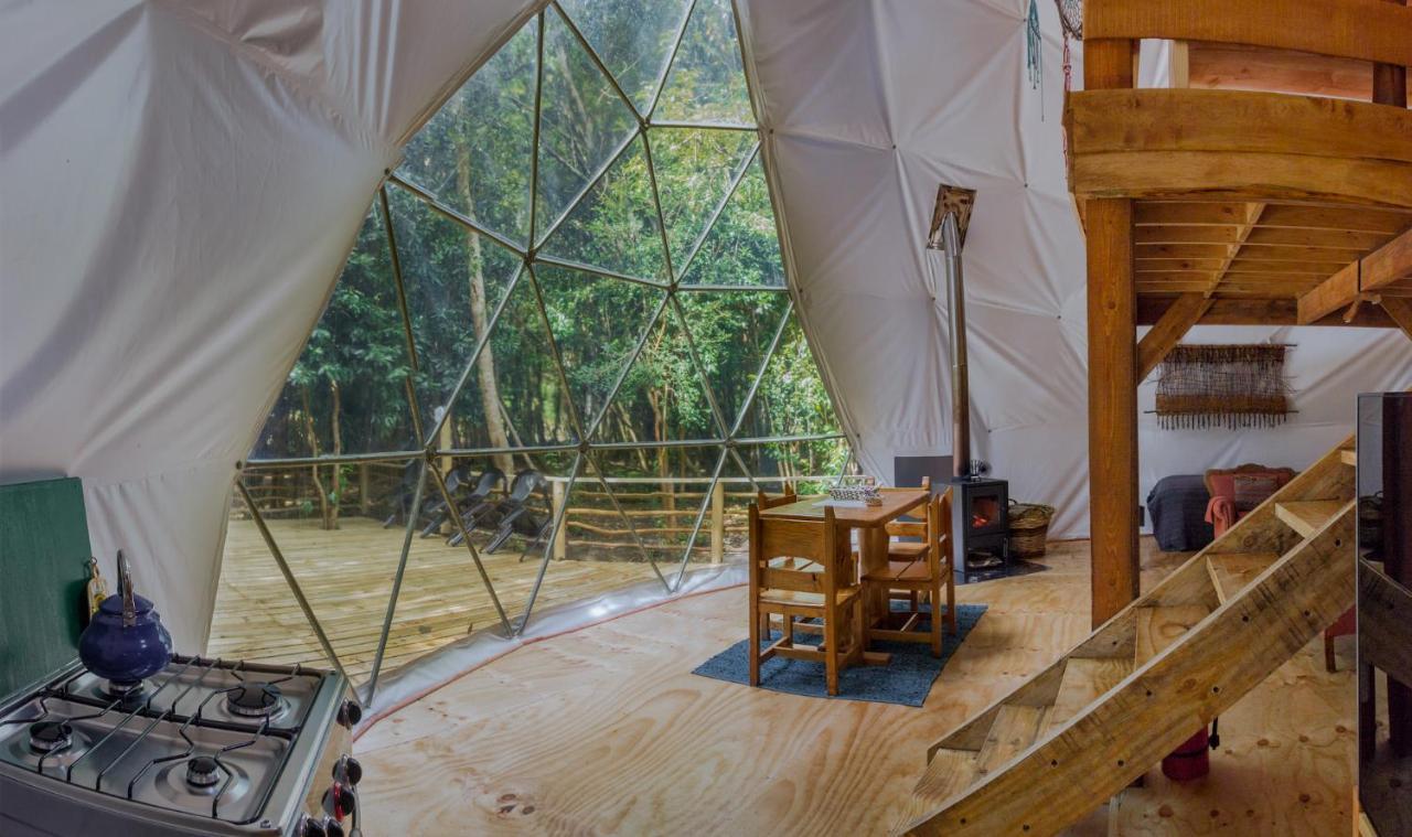 Cabanas Ensenada Bosque Nativo מראה חיצוני תמונה