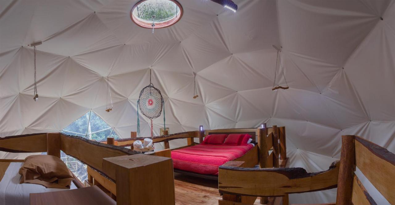 Cabanas Ensenada Bosque Nativo מראה חיצוני תמונה