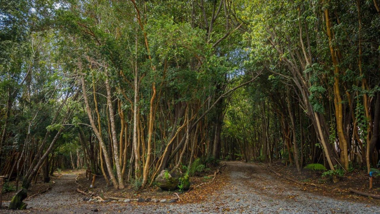 Cabanas Ensenada Bosque Nativo מראה חיצוני תמונה
