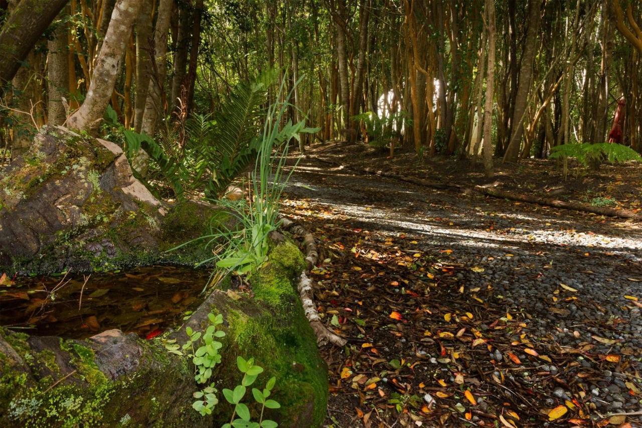 Cabanas Ensenada Bosque Nativo מראה חיצוני תמונה